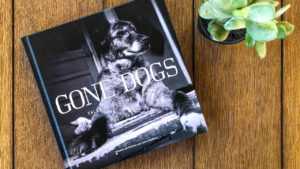gone dogs book on wood coffee table